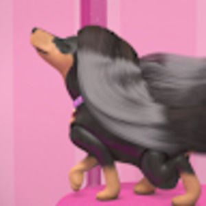 Meet your Posher, Ramona